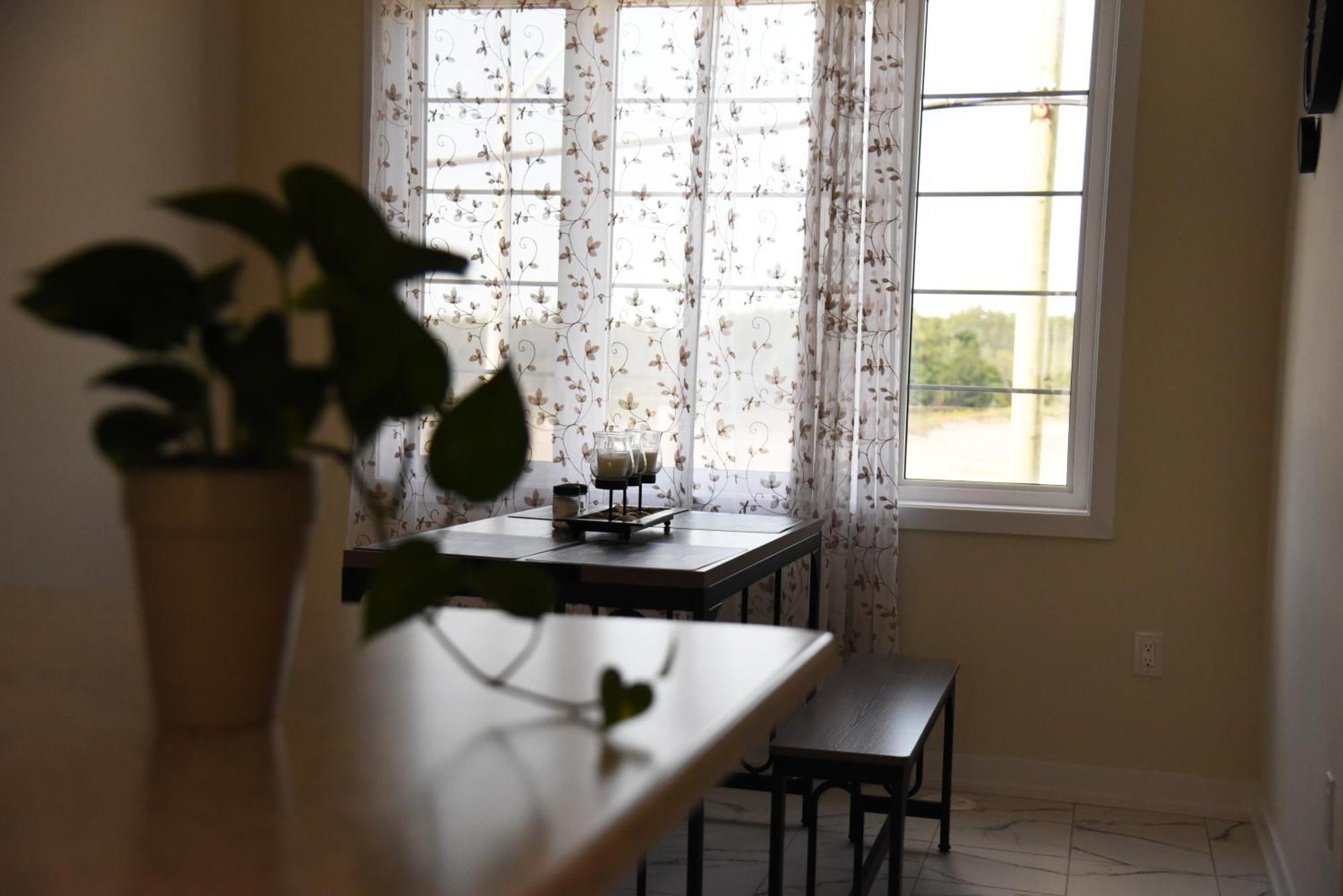 Have Whole House To Yourself Thorold Luaran gambar